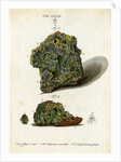 Green mineral of lead by Johann Sebastian Leitner