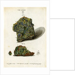 Green mineral of lead by Johann Sebastian Leitner