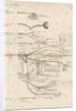 'The Cranial Nerves' by M & N Hanhart