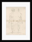 'Distribution of the Cranial Nerves' by M & N Hanhart