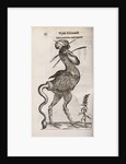 A 'monstrous cockerel with a snake's tail' by unknown