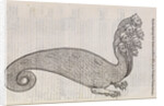 A 'hydra' by unknown