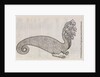 A 'hydra' by unknown