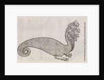 A 'hydra' by unknown