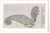 A 'hydra' by unknown
