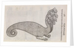 A 'hydra' by unknown