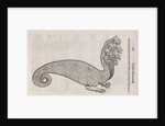A 'hydra' by unknown