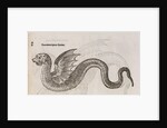 A 'winged dragon' by unknown