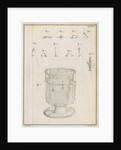Polyps in a glass with studies of locomotion by Jacobus van der Schley