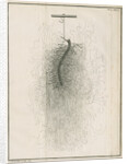Freshwater hydra dissection by Pierre Lyonet