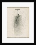 Freshwater hydra dissection by Pierre Lyonet