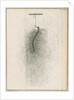 Freshwater hydra dissection by Pierre Lyonet