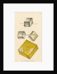 'Calx carbonata' by James Sowerby