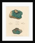 'Cuprum arseniatum' by James Sowerby