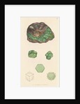'Cuprum arseniatum' by James Sowerby