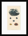 Cuprum oxygenizatum by James Sowerby