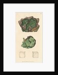Ferrum arseniatum by James Sowerby