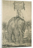 Indian elephant by Andreas Lorenzen Rothgiesser