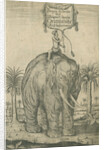 Indian elephant by Andreas Lorenzen Rothgiesser
