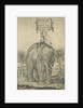 Indian elephant by Andreas Lorenzen Rothgiesser