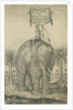 Indian elephant by Andreas Lorenzen Rothgiesser