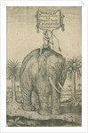 Indian elephant by Andreas Lorenzen Rothgiesser