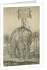 Indian elephant by Andreas Lorenzen Rothgiesser
