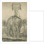 Indian elephant by Andreas Lorenzen Rothgiesser