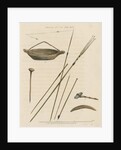 'Implements of New South Wales' by Anonymous