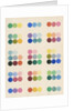 Colour spot chart by Anonymous