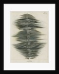 Lead wire explosion pattern by Anonymous