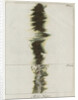 Copper wire explosion pattern by Anonymous