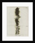 Copper wire explosion pattern by Anonymous