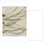 Lead-Tin alloy wire explosion pattern by Anonymous