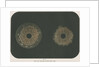 Electrical discharge by The Autotype Company