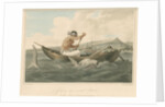 'Javanese and wounded Shark' by Thomas Medland