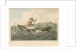 'Javanese and wounded Shark' by Thomas Medland