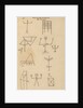 Picture-writing by Richard Spruce