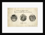 Sections of meteorite by George Henry Frederick Ulrich