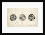 Sections of meteorite by George Henry Frederick Ulrich