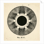 Spark discharge figure by Unknown