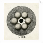 Spark discharge figure by Unknown