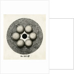 Spark discharge figure by Unknown