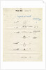 Impact on a liquid by Arthur Mason Worthington