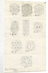 Nine figures showing nodal lines on vibrating plates by Mary Tomlinson
