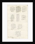 Nine figures showing nodal lines on vibrating plates by Mary Tomlinson