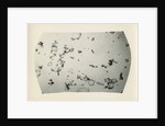 Drift particles by unknown