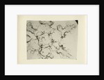 Snow crystal by unknown