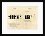 Silver and antimony solutions by unknown