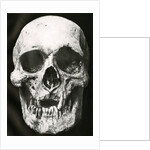 Robert the Bruce’s skull by Unknown